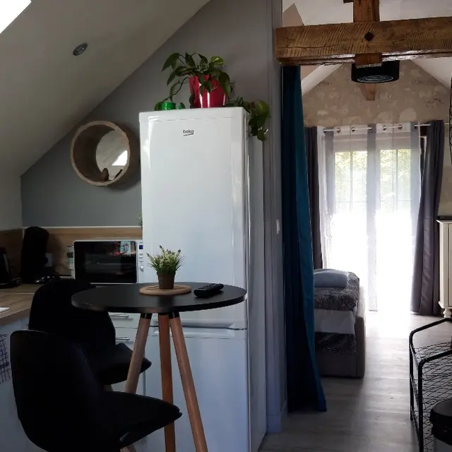 Sainte-maure de touraine-Gîte des côteaux pt (5)