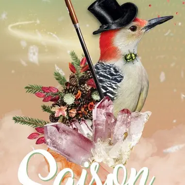 Saison hivernale Azay-Larçay-Véretz
