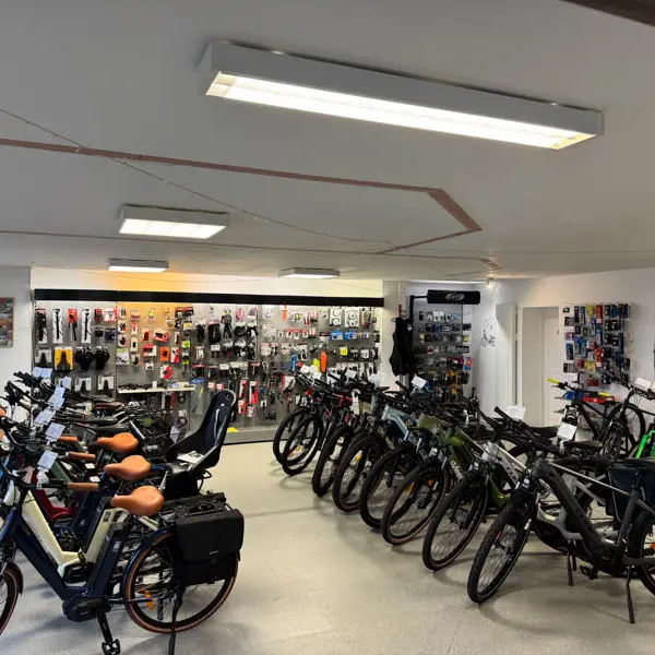Services Vélos