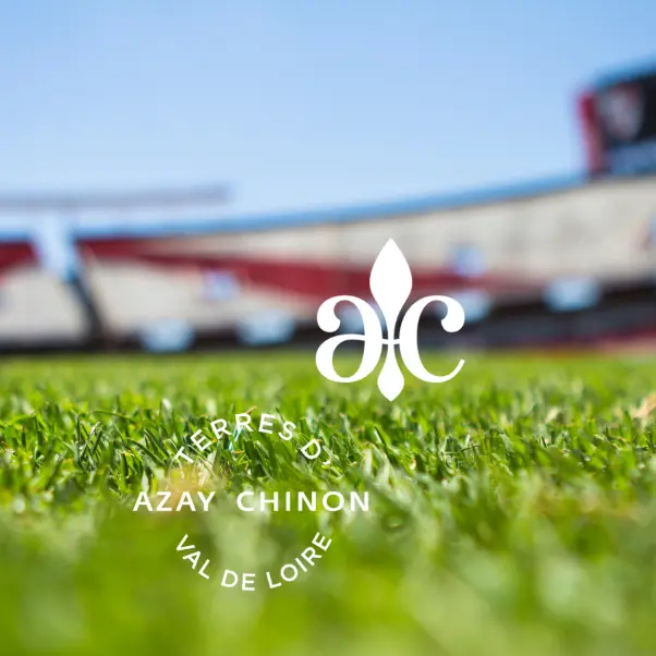 TVI - Chasse aux oeufs - Saché