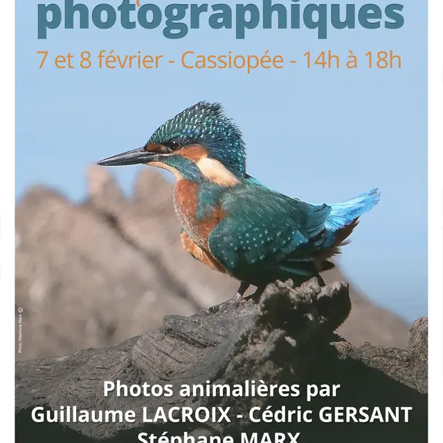TVI - 7 & 8.02 - Veigné - Rencontres photographiques