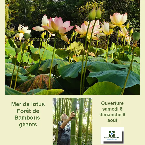TVI - 8 et 9.08 - Veigné - Arboretum