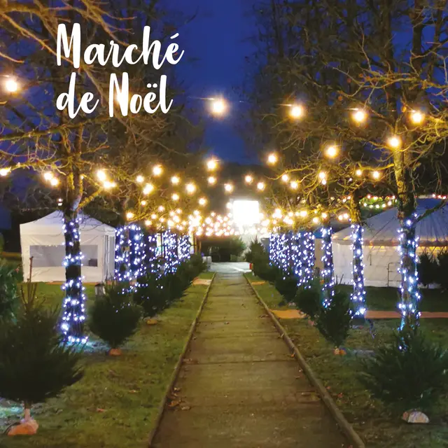 TVI - 13-14.11 Marché de Noël Monts
