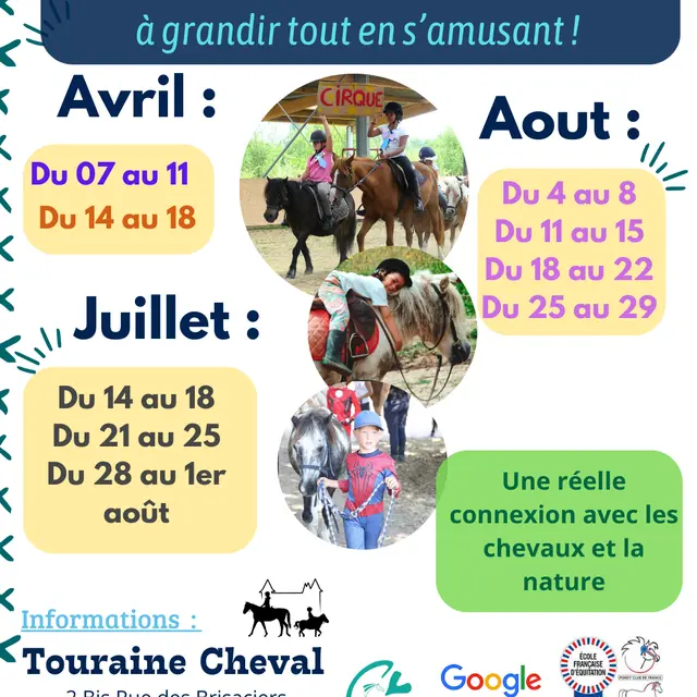 TVI - 14-31.07 Stages équitation
