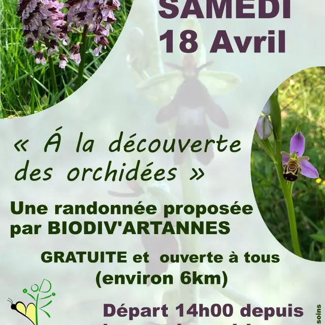 TVI - 18.04 - Artannes - Rando biodivartannes