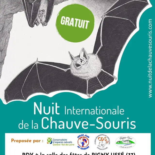TVI - 18.07 Rigny-Ussé Nuit de la Chauve-Souris