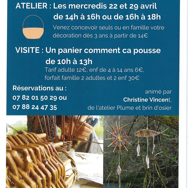 TVI - 22 et 29.04 - Villaine les Rochers - Atelier Vannerie