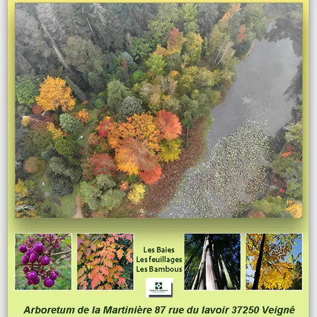 TVI - 25.10 au 02.11 - Veigné - Arboretum
