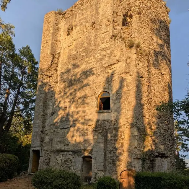 Tour nord-est - Château de Cinq-Mars