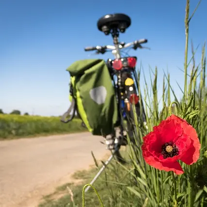 Vélo nature _ Pixabay