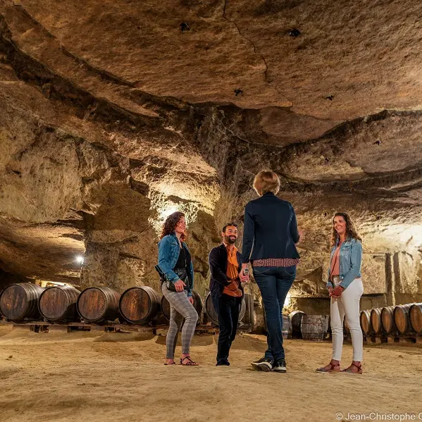 Vignoble de la Jarnoterie - Saint-Nicolas-de-Bourgueil