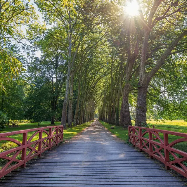 Parc de Richelieu - France