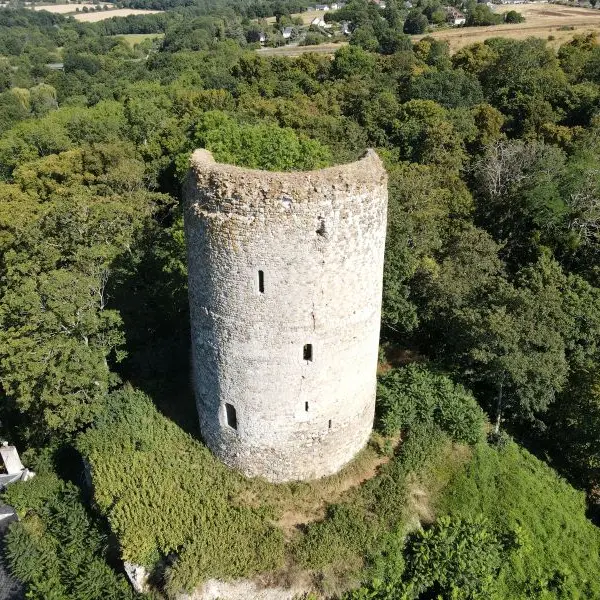 Le donjon de Château-Renault