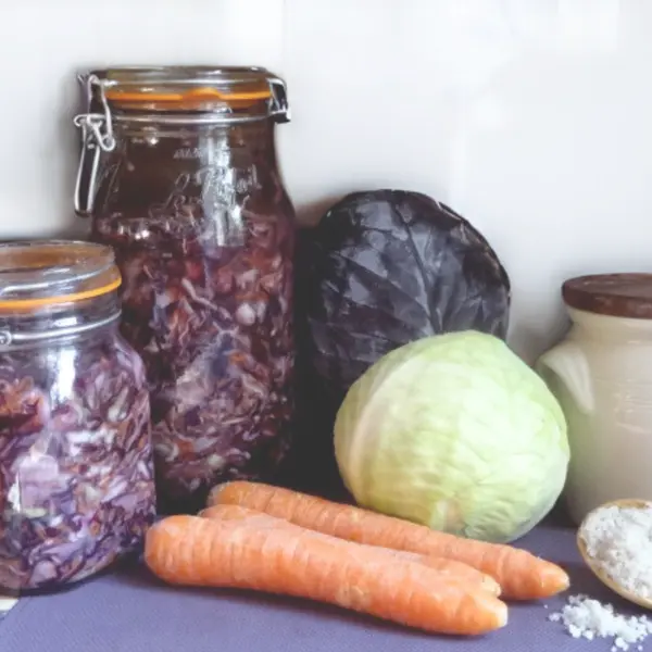Atelier d'initiation à la lacto fermentation