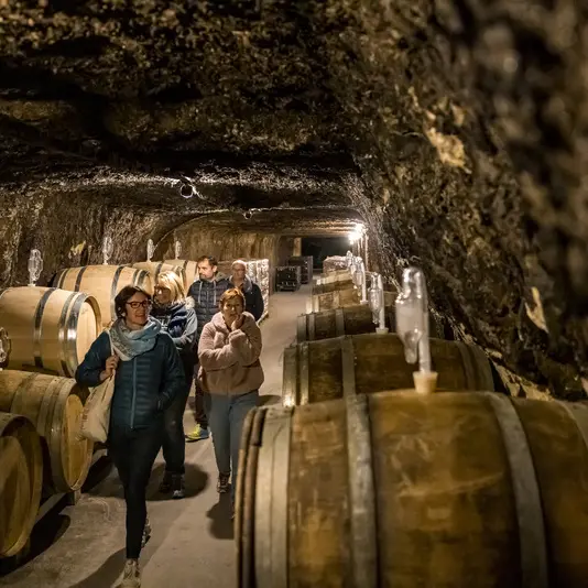 Visite_cave_ARobert_2209_credit_DDarrault_CRTCentrevaldeLoire