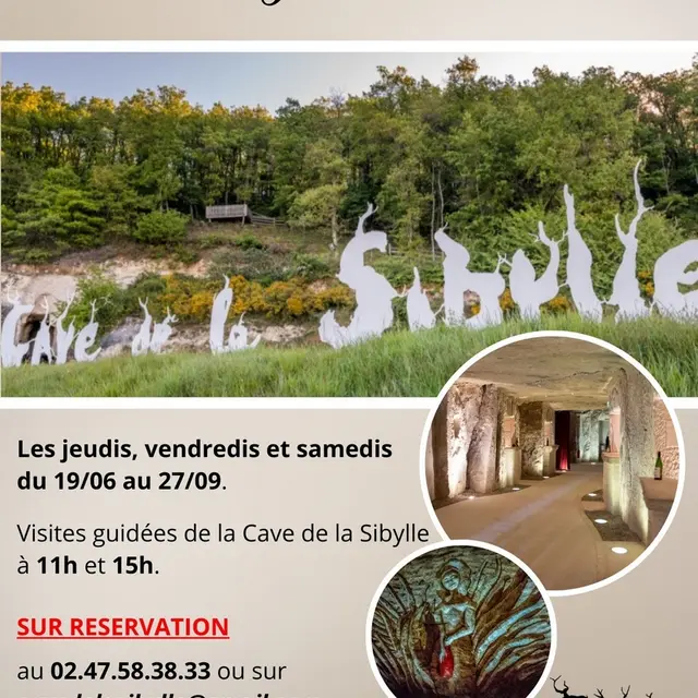 Visites guidées Cave de la Sibylle Panzoult juin à septembre 2025