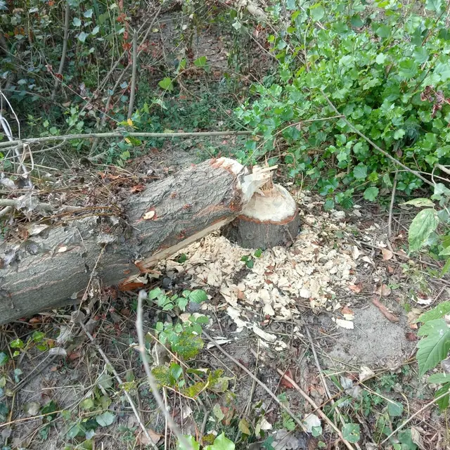 WhatsApp-Image-2025-09-10-a-15.40.14_a3a6953d-1536x1152