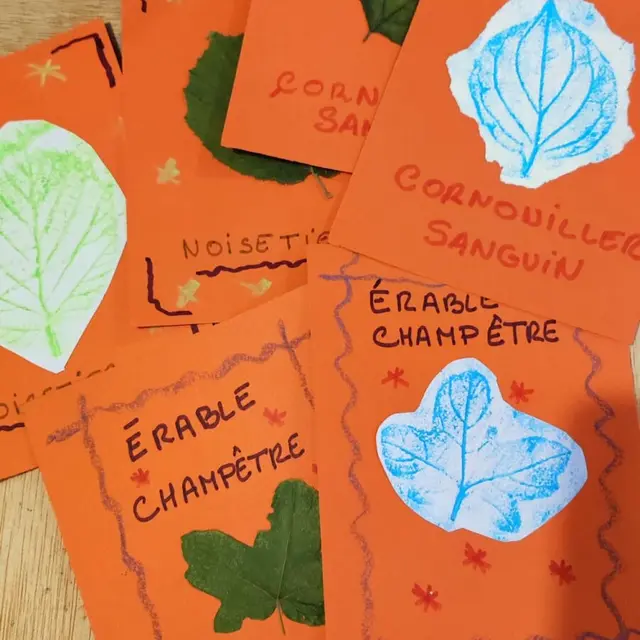 WhatsApp-Image-2025-10-22-a-18.06.17_fe248f4f-e1761149231470