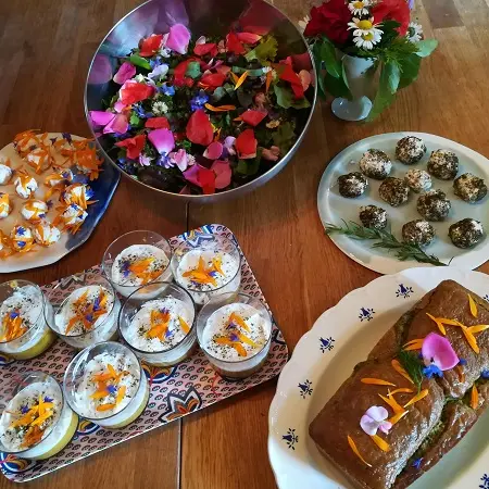 cabane a plantes - loches-val de loire