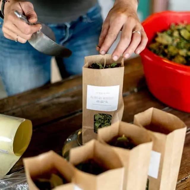 PSC_cabane_a_plantes