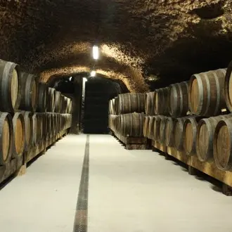 Cave du Domaine de la Croix Melier