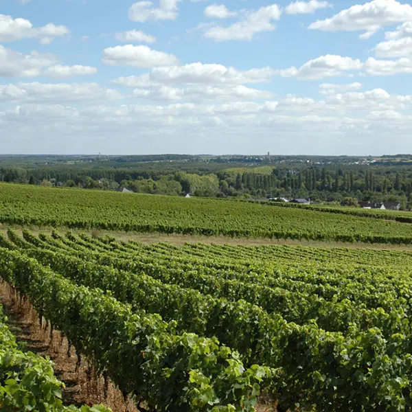 cave-pere-auguste05