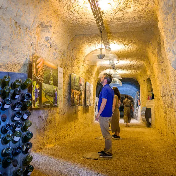 Caves Ambacia - Parcours multimédia L'Odyssée des millésimes