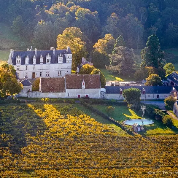 Le château de Nitray, et son vignoble attenant.