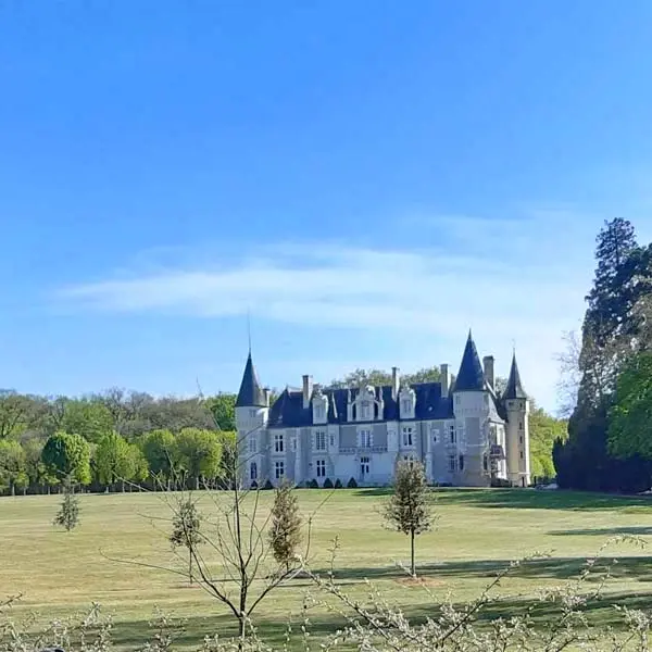 Château de Beauvais - Chambres d'hôtes et gîte - Azay-sur-Cher