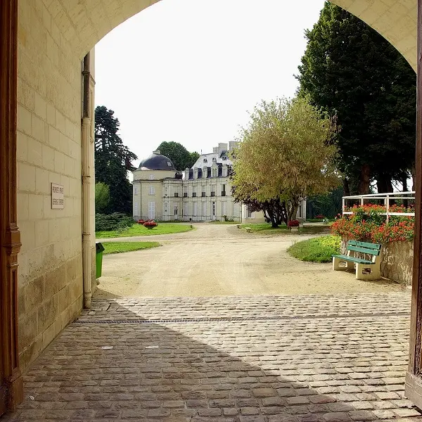 Chateau royal de Benays - Benais