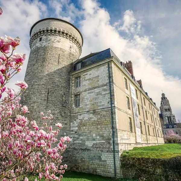 Château de Tours