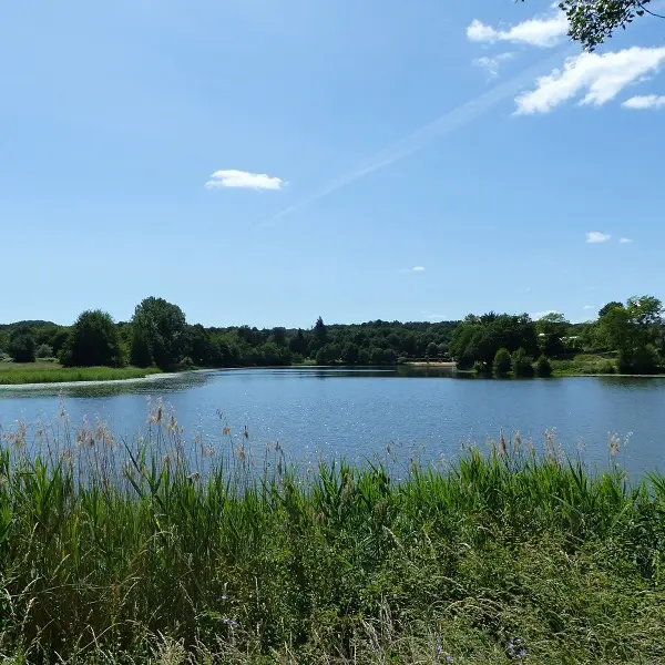 Lac du Val Joyeux - Château-la-Vallière