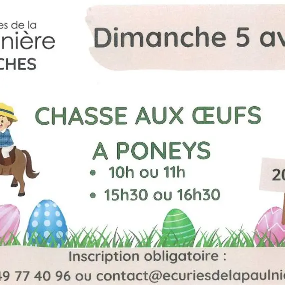 chasse-oeufs-poney-ecuriesdelapaulniere-loches