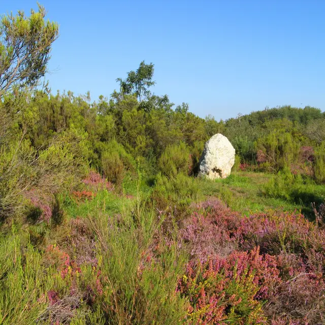 cinais-camp-romains-scaled-1196x900