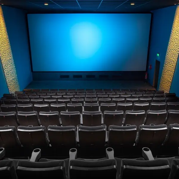 cinema-ecran-loches-valdeloire