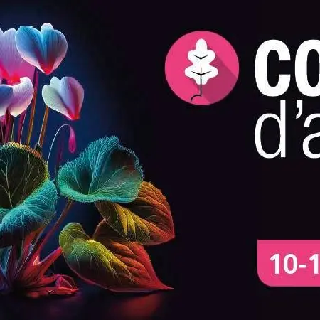 concert d'automne