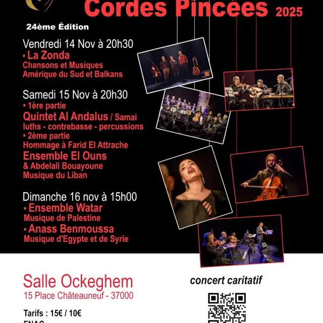 cordes pincées