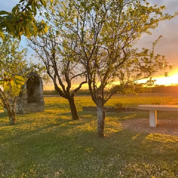 coucher du soleil