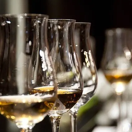 degustation_pixabay