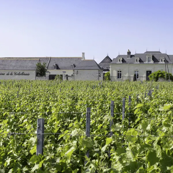Domaine de la Cotelleraie