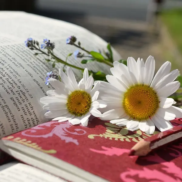 livre