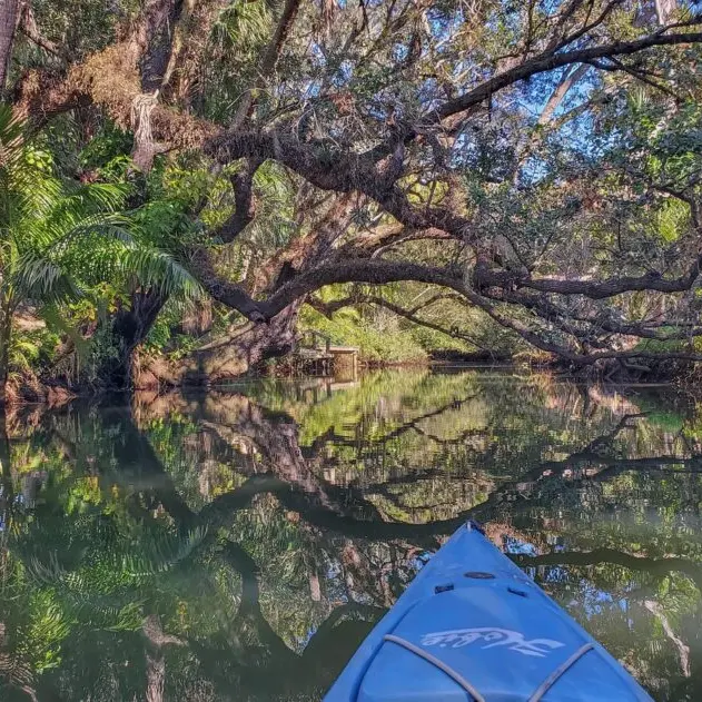 estero-river-5949353_1280-e1761147423560