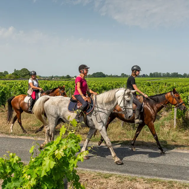 boucle équestre entre vignes et forêts