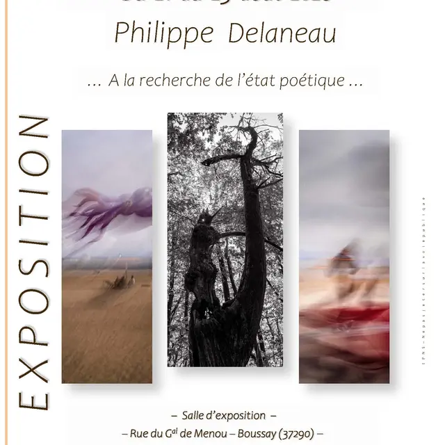 exposition-philippedelaneau-boussay-valdeloire
