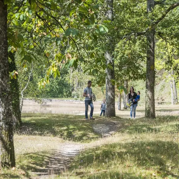foret-tours-preuilly-preuilly-sur-claise-valdeloire1-2