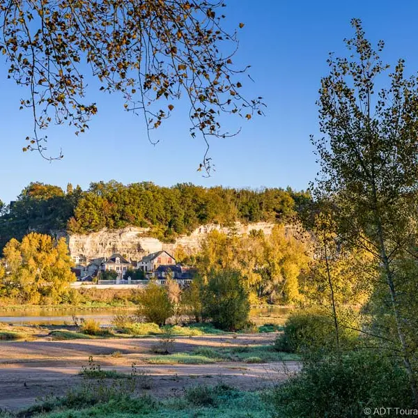 Ile de la Métairie, Espace Naturel Sensible - La-Ville-aux-Dames