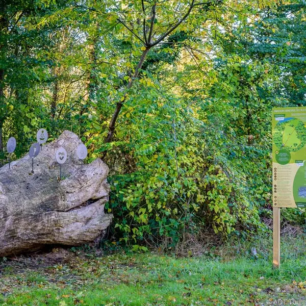 Ile de la Métairie, Espace Naturel Sensible - La-Ville-aux-Dames
