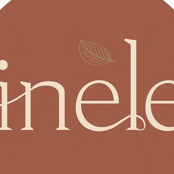 Restaurant Inele - Saint-Avertin