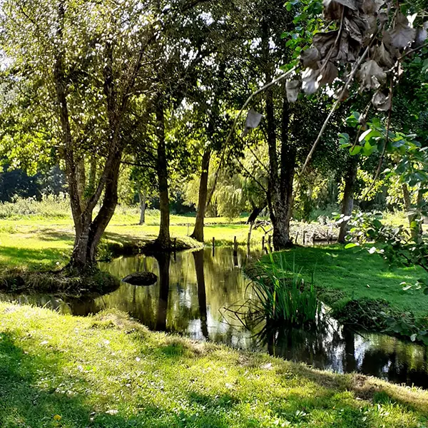 Les viviers du moulin de Langeais