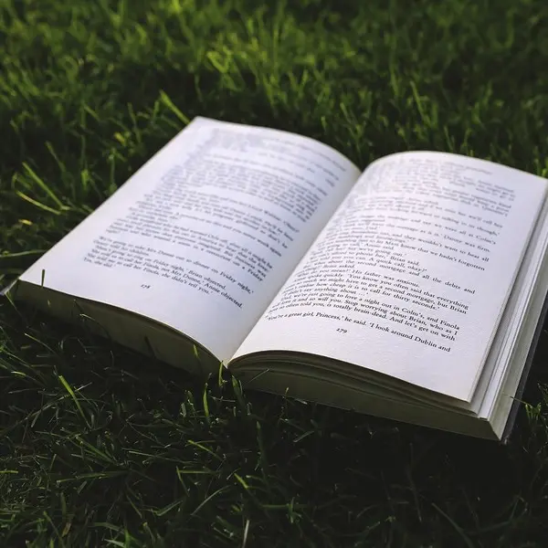 ottn-2024-livre